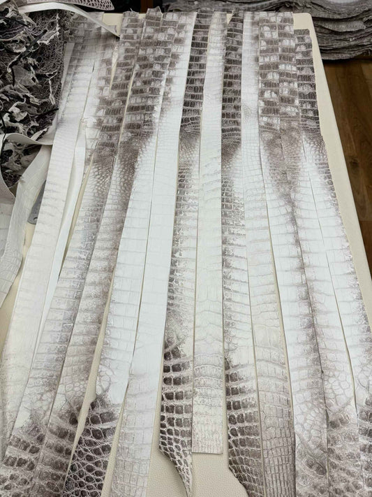 Cintura in pelle di coccodrillo, cintura in pelle di coccodrillo Himalaya