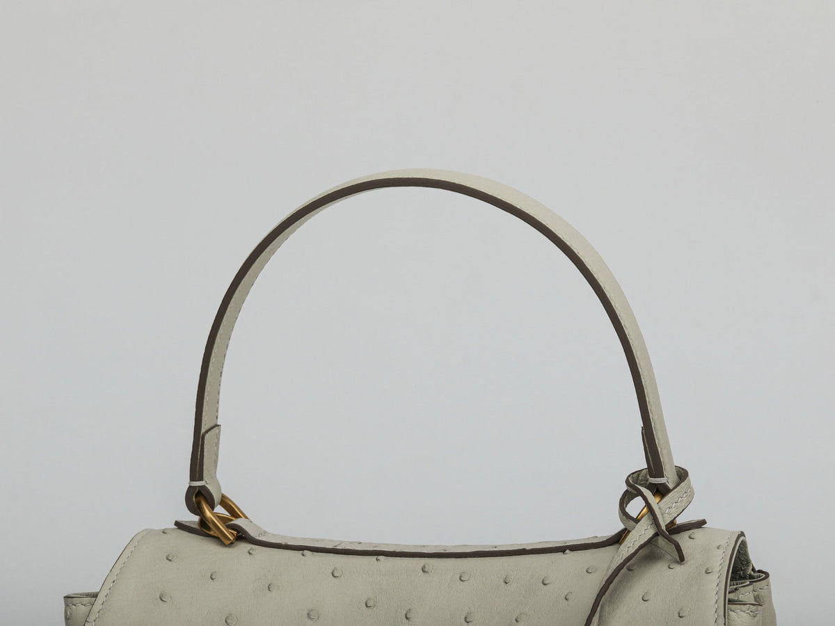 Ostrich Leather Top Handle Tote Bag